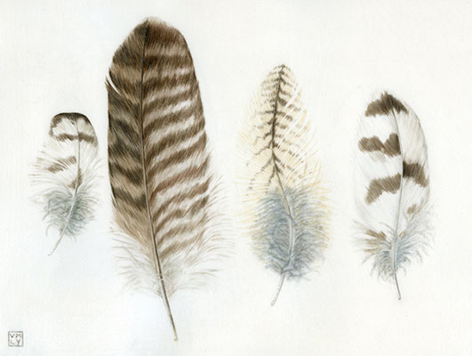 ‘Owl Ghosts’