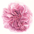 Annie Berriman